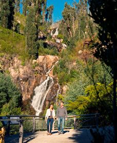 Steavenson Falls Marysville - Attractions Sydney 1