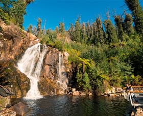 Steavenson Falls Marysville - Attractions Sydney 0