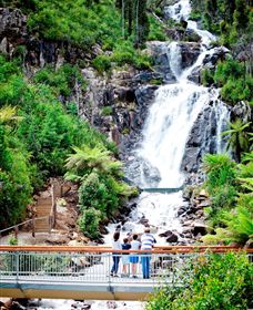 Steavenson Falls Marysville - Attractions Sydney 2