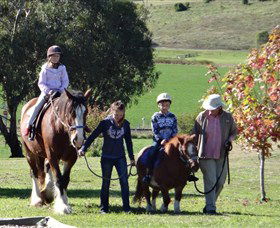 Bathurst Farm Experience - Attractions Sydney 0