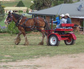 Bathurst Farm Experience - Attractions Sydney 3