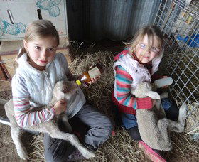 Bathurst Farm Experience - Attractions Sydney 4