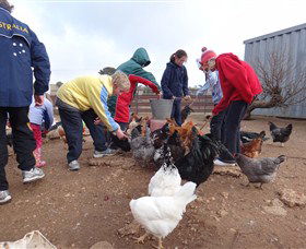 Bathurst Farm Experience - Attractions Sydney 2