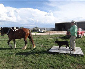Bathurst Farm Experience - Attractions Sydney 6