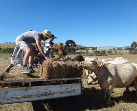 Bathurst Farm Experience - Attractions Sydney 5