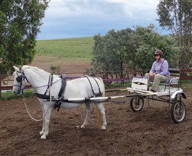 Bathurst Farm Experience - Attractions Sydney 8