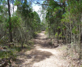 Goonoowigall State Conservation Area - Attractions Sydney 1