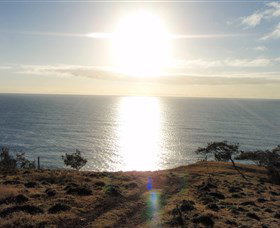 Southend Curtis Island - Attractions Sydney 0