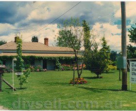 Tumut Valley Violets - Attractions Sydney 0