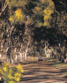 Albert Facey Heritage Trail - Attractions Sydney 0
