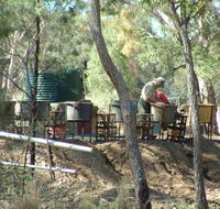 7 Oaks Sapphire Fossicking - Attractions Sydney