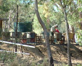 7 Oaks Sapphire Fossicking - Attractions Sydney 0