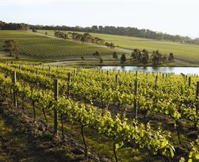 Yabby Lake Vineyard & Cellar Door - Attractions Sydney 7