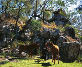  Attractions Sydney