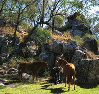 Coomba Falls - Attractions Sydney