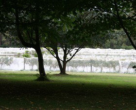 Staindl Wines - Attractions Sydney 0