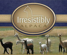 Marchmont Park Alpacas - Attractions Sydney 0