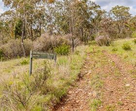 Old Mountain Road Walking Track - Attractions Sydney 0