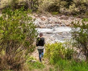 Old Mountain Road Walking Track - Attractions Sydney 1