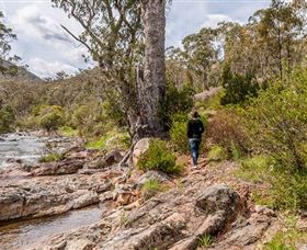 Old Mountain Road Walking Track - Attractions Sydney 2
