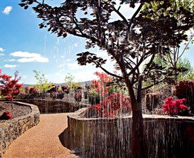The Water Garden At Mayfield Garden - Attractions Sydney 2