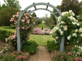 Harrow Gardens - Attractions Sydney 2