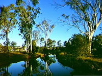 Dingo Creek Park