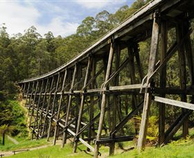 Noojee Trestle Bridge - Attractions Sydney 0