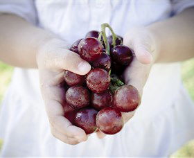 Granitevale  Estate Winery - Attractions Sydney 0
