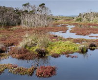 French Island National Park