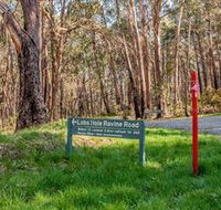 Lobs Hole Ravine 4WD Trail - Attractions Sydney