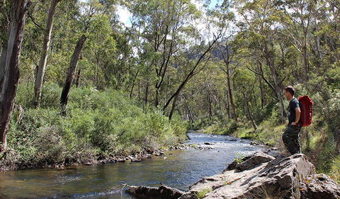Yarrangobilly Caves - Attractions Sydney 1