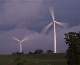 Crookwell Wind Farm - Attractions Sydney 0