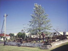 Clifton Historical Museum - Attractions Sydney 1