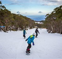 Mt Baw Baw Alpine Resort - Attractions Sydney