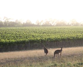 Small Forest Wine - Attractions Sydney 0