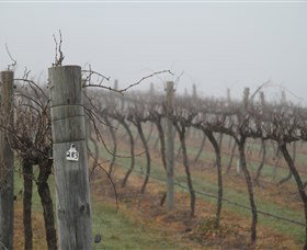 Small Forest Wine - Attractions Sydney 1