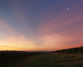 Small Forest Wine - Attractions Sydney 2