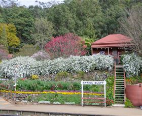 Spring Bluff Railway Station - Attractions Sydney 1