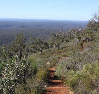Mount Dale Walk Trail - Attractions Sydney