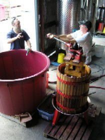Pyramids Road Wines - Attractions Sydney 2
