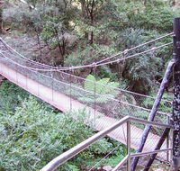 Jenolan River walking track - Attractions Sydney