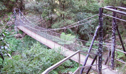 Jenolan River Walking Track - Attractions Sydney 0