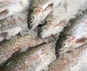 Arc-en-Ciel Trout Farm - Attractions Sydney 3