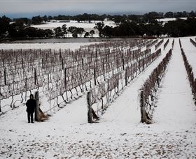 Savina Lane Premum Wines - Attractions Sydney 2