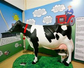 Hunter Belle Cheese - Attractions Sydney 3