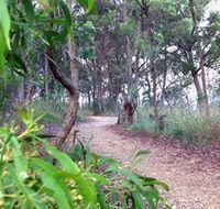 Mount Mutton Walking Trail - Attractions Sydney
