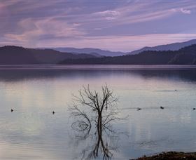 Scone NSW Attractions Sydney
