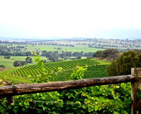 Hollydene Estate Wines And Vines Restaurant - Attractions Sydney 2