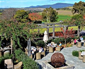 Hollydene Estate Wines And Vines Restaurant - Attractions Sydney 8